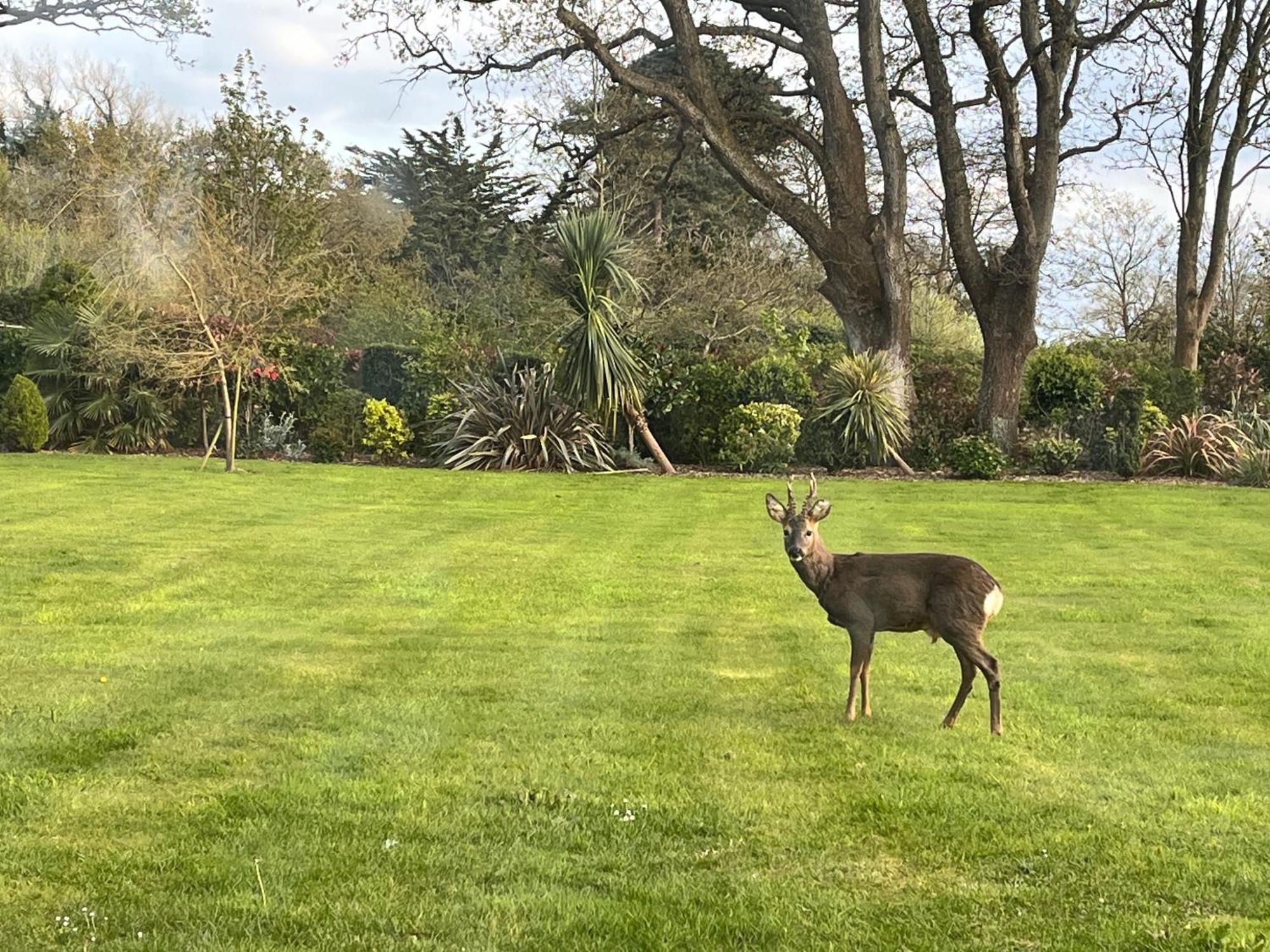 Stay At 'The Elms' In Tranquil Church Norton, Selsey - Ground Floor Bedroom, Own Private Bathroom, Quiet Beach, 2 Acre Garden By The Sea, On Edge Of Wildlife Nature Reserve Esterno foto