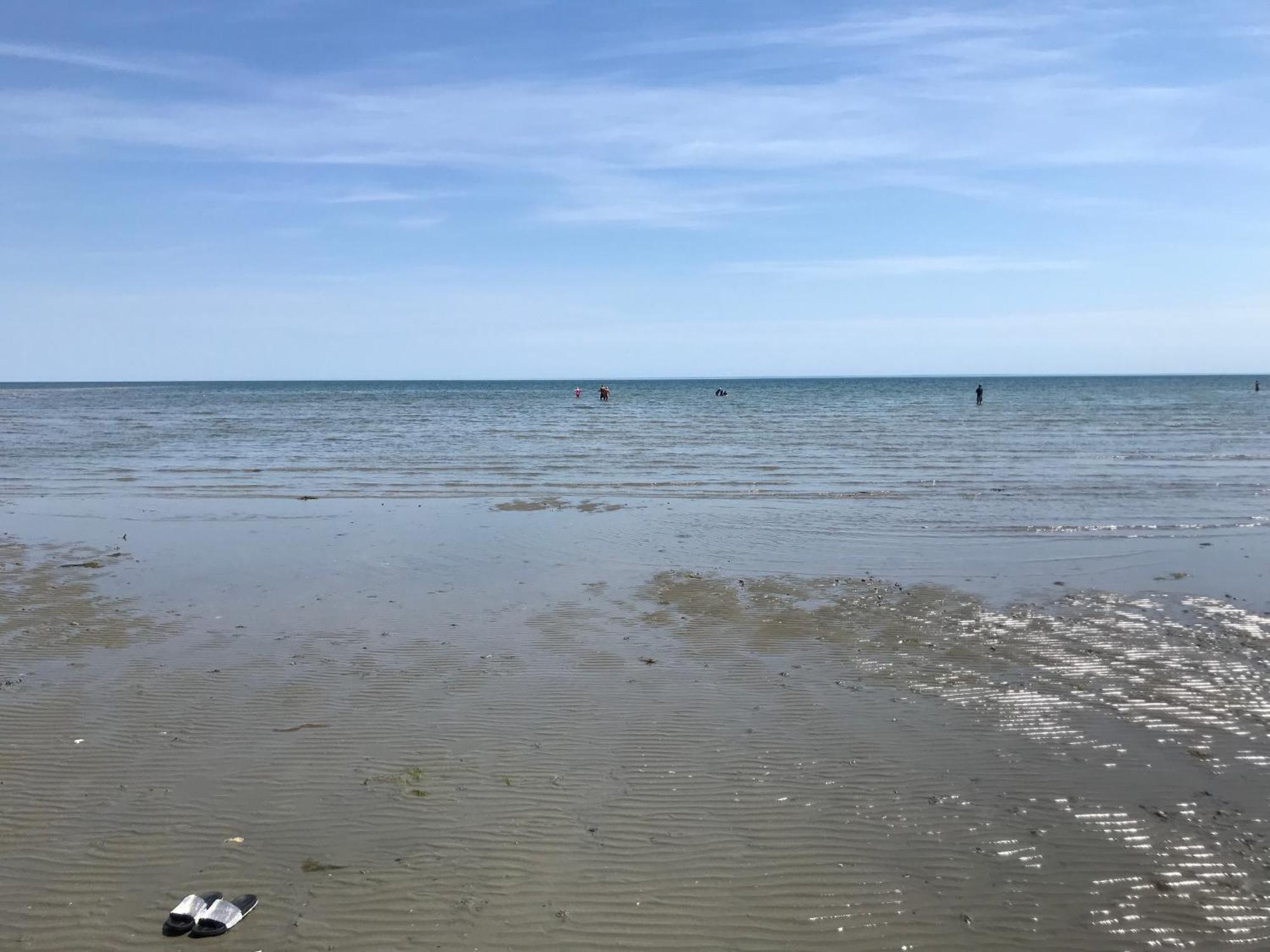 Stay At 'The Elms' In Tranquil Church Norton, Selsey - Ground Floor Bedroom, Own Private Bathroom, Quiet Beach, 2 Acre Garden By The Sea, On Edge Of Wildlife Nature Reserve Esterno foto